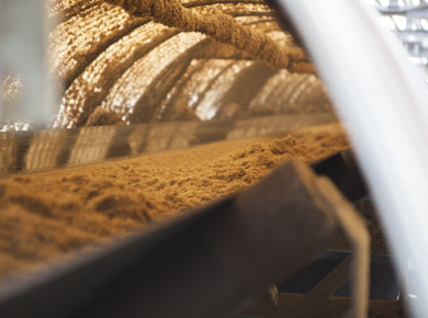 Convoyeur bagasse, biomasse