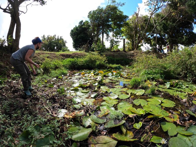 Biodiversité