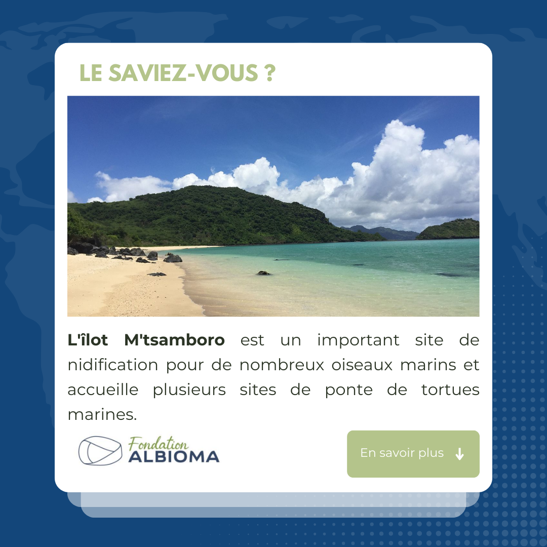 ilot m'tsamboro mayotte