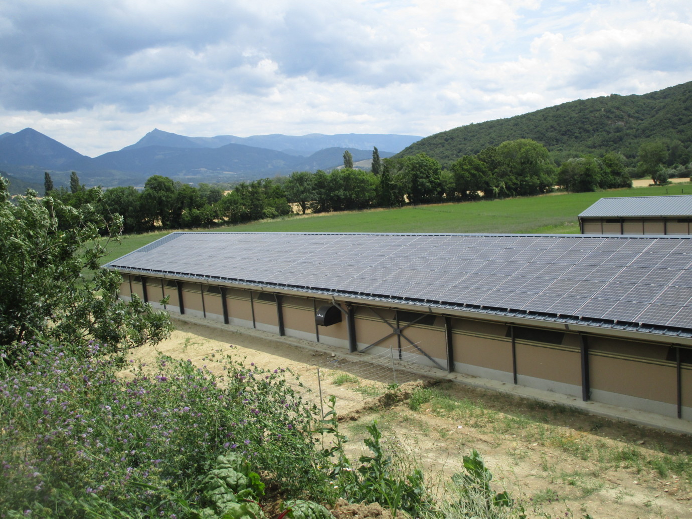 hangar photovoltaique