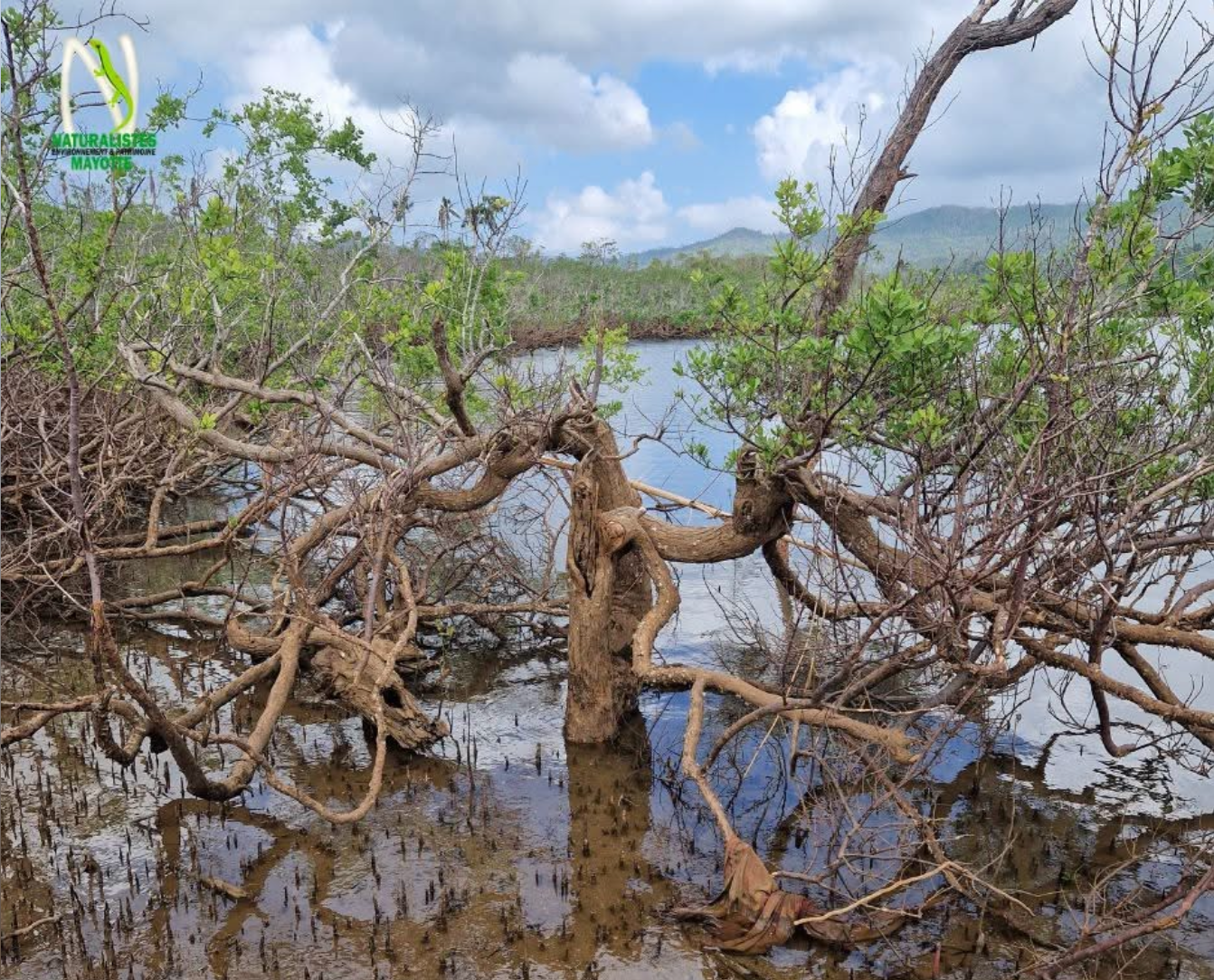 Biodiversité