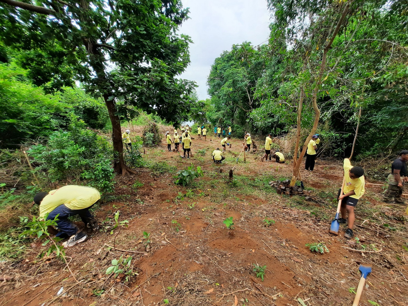 Naturalistes de Mayotte